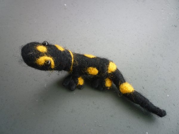 Feuersalamander