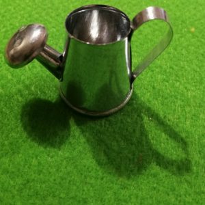 Gieskanne für Mini-Zwergli