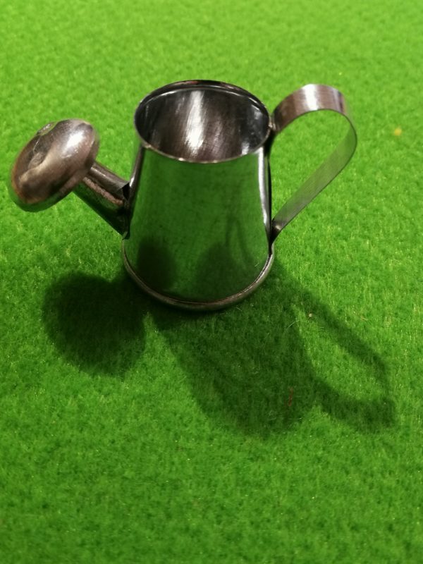 Gieskanne für Mini-Zwergli